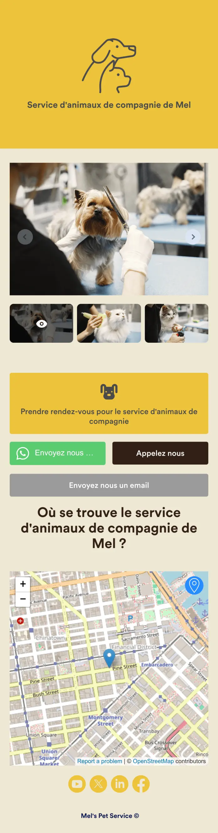 Application de toilettage pour chiens