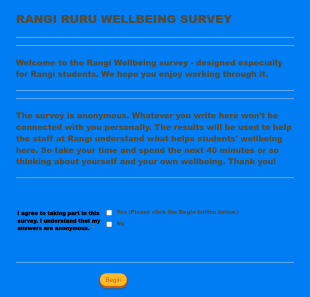 Wellbeing Survey Form Template