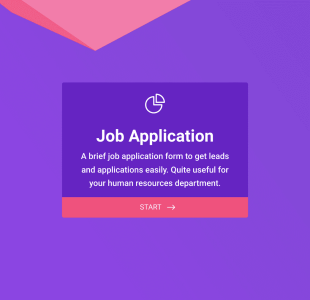 Online Job Application Form Template