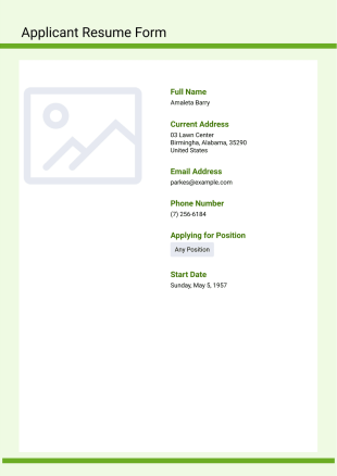 Applicant Resume Template - PDF Templates