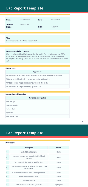Lab Report Template - PDF Templates