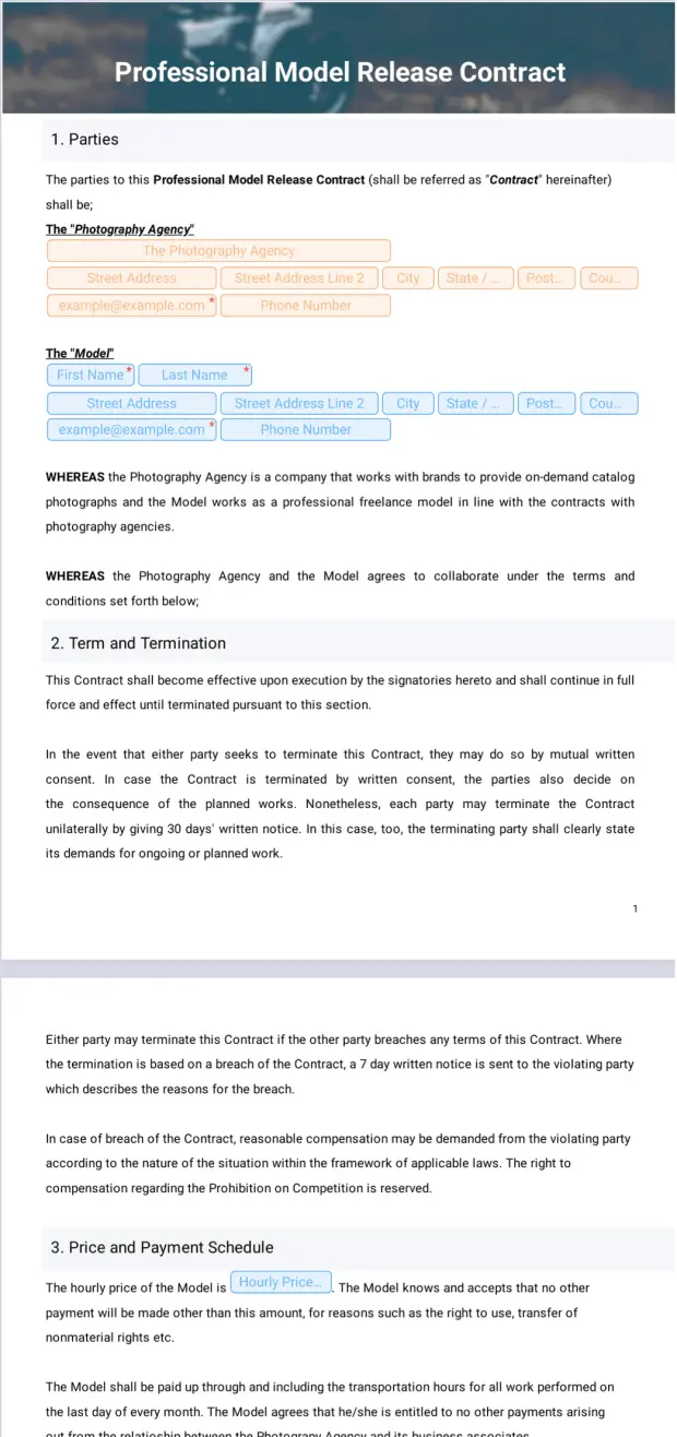 Professional Model Release Contract Template