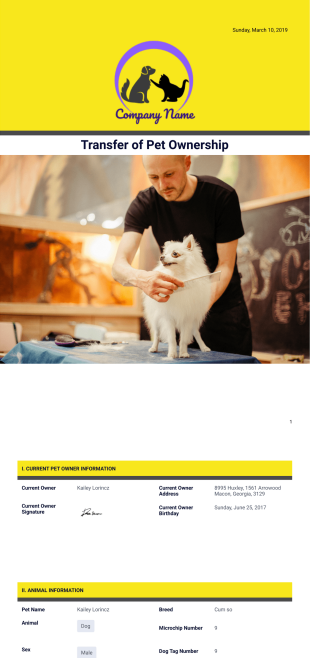 Transfer of Pet Ownership Template - PDF Templates